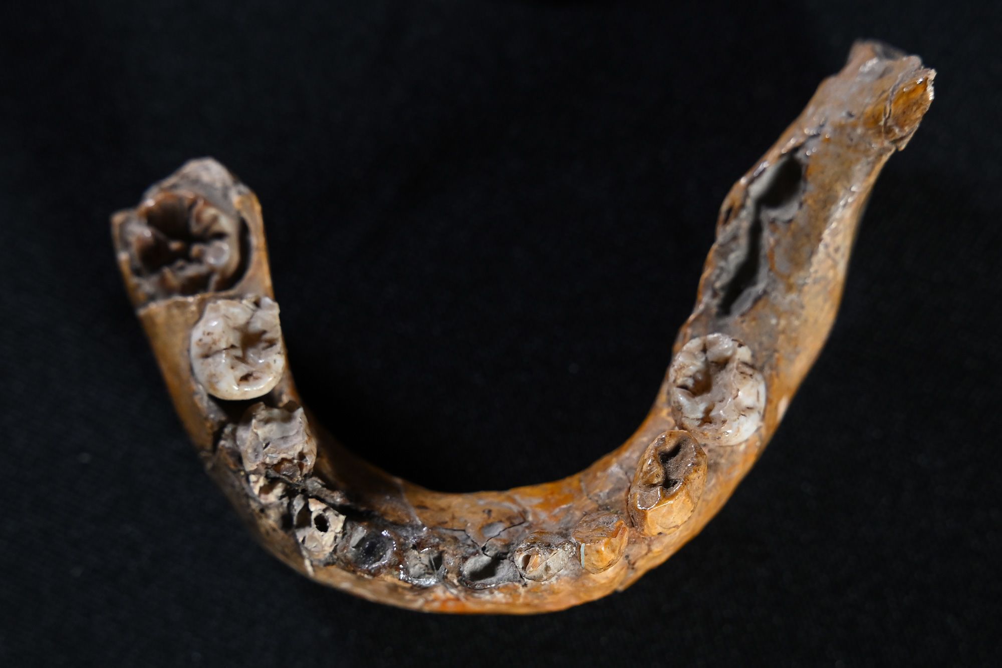 O maxilar inferior da criança no sítio arqueológico da Caverna Skhul tinha características neandertais • Tel Aviv University via CNN Newsource