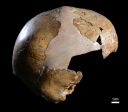 Cientistas revelam indícios inéditos de contato entre Neandertais e Sapiens