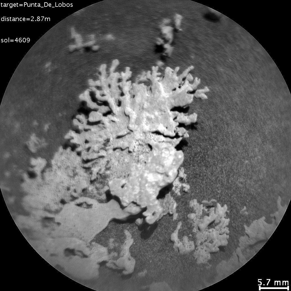Outra rocha com aparência de “coral” foi encontrada na mesma região; ela foi observada no 4.609º dia marciano da missão • NASA/JPL-Caltech