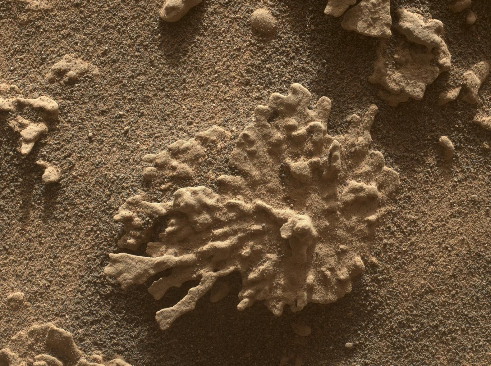 A formação rochosa com aparência de “coral” foi registrada no 4.608º dia marciano da missão do rover Curiosity • NASA/JPL-Caltech/MSSS