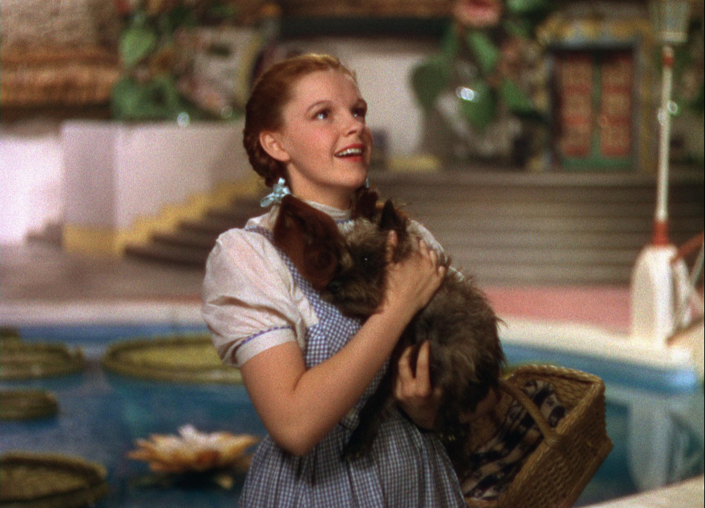 Totó, de "O Mágico de Oz" • Reprodução/IMDB