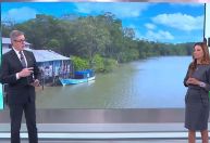 COP30: Brasil propõe virada verde para a economia global