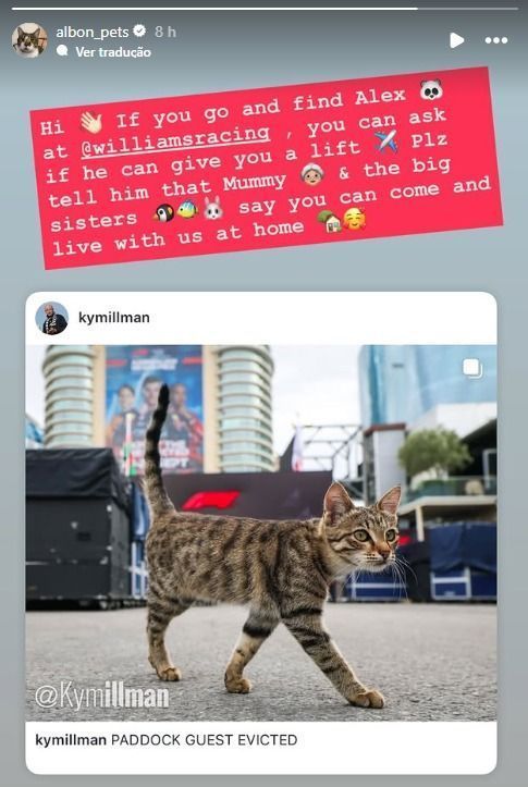 Família de Albon quer o 13º gato