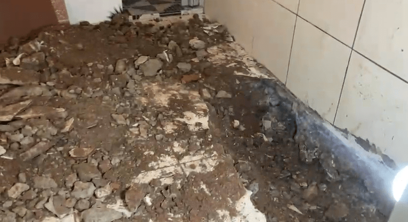 Corpo de Aline foi encontrado debaixo de piso concretado em uma residência de São Bernardo do Campo • Reprodução