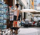 Cidade da Itália anuncia taxa para entrada de cães; entenda