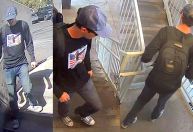 Trump sugere que suspeito de matar influenciador Charlie Kirk foi preso