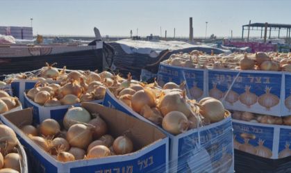 Comida de ajuda humanitária apodrece na entrada de Gaza, que sofre com fome