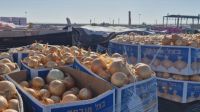 Comida de ajuda humanitária apodrece na entrada de Gaza, que sofre com fome
