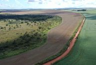 Dia do Cerrado: O bioma mais desmatado do Brasil vive sob ameaça