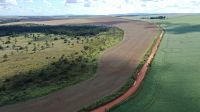 Dia do Cerrado: O bioma mais desmatado do Brasil vive sob ameaça