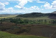 Cerrado perdeu 28% de sua cobertura original em 40 anos, diz estudo