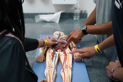 Estudantes tocam boneco em aula de anatomia