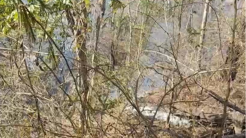Incêndios Defesa Civil SP