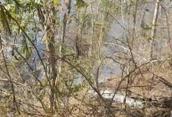 Incêndio atinge há mais de cinco dias área de vegetação no interior de SP