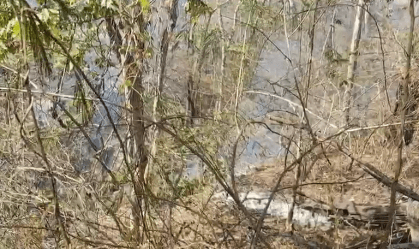 Incêndio atinge há mais de cinco dias área de vegetação no interior de SP