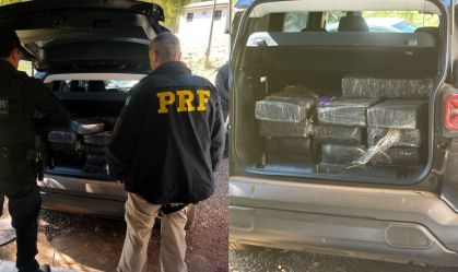 Polícia prende cinco pessoas e 252kg de maconha durante operação em SC