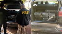 Polícia prende cinco pessoas e 252kg de maconha durante operação em SC