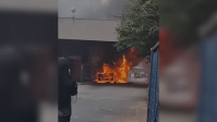 Vídeo: Ônibus pega fogo e forma nuvem de fumaça no Terminal Tatuapé (SP)