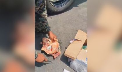 Polícia apreende drogas em carga de alimentos em Fernando de Noronha