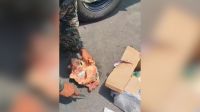 Polícia apreende drogas em carga de alimentos em Fernando de Noronha