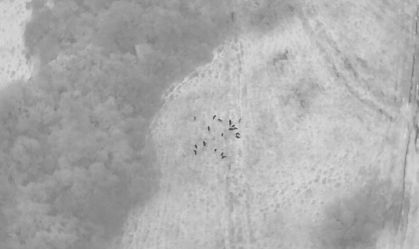 Drone com câmera térmica é usado no resgate de capivara ferida; entenda