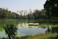 São Paulo terá semana de tempo firme e predomínio de sol