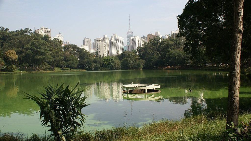 São Paulo terá semana de tempo firme e predomínio de sol