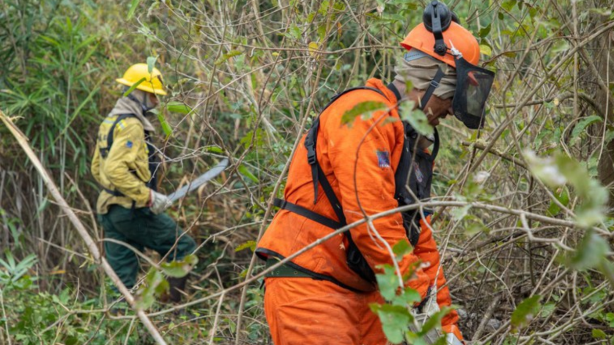 El Niño traz risco de seca e incêndios florestais ao Amapá, aponta Censipam