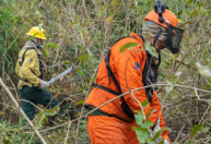 Brasil tem o menor número de queimadas da série histórica para agosto