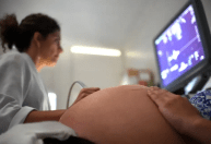 Fiocruz: dengue, zika e chikungunya aumentam riscos no parto