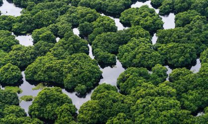 Os três perfis de cadeia de negócios que precisam ser sustentados no Norte