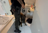 Bunker, dívida e morte: a cronologia do caso dos quatro desaparecidos no PR