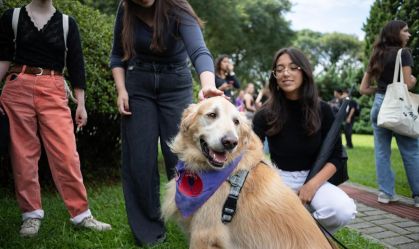 PUC-PR oferece terapia com animais para apoiar saúde mental de estudantes