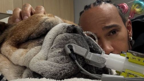 Lewis Hamilton e Roscoe