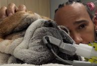 Cão de Hamilton é internado e piloto desabafa: "Não sabemos se vai acordar"
