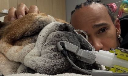 Cão de Hamilton é internado e piloto desabafa: "Não sabemos se vai acordar"