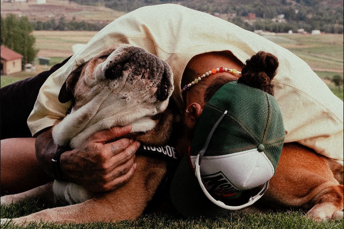 Roscoe, o cão de Lewis Hamilton