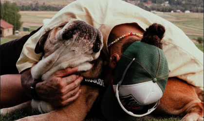 Roscoe, o cão de Lewis Hamilton