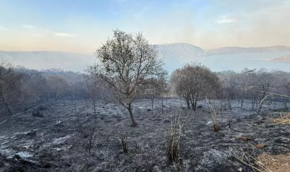Incêndio de grandes proporções afeta centenas hectares em Timburi (SP)
