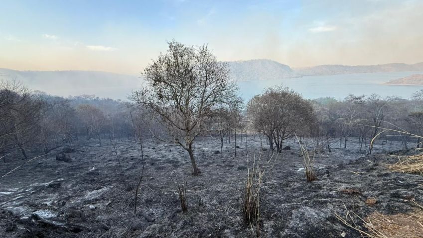 Município de Timburi é afetado por focos de incêndio • Reprodução Defesa Civil