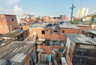 Mais de 60% dos moradores de favelas vivem em locais sem árvores, diz IBGE