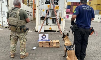 PF apreende drogas em contêiner de açaí que iria de Belém para a Austrália