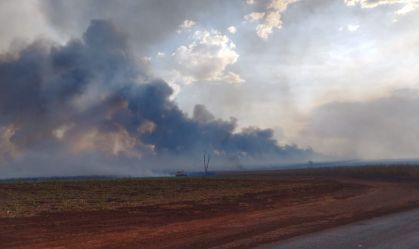 Alerta severo: 111 cidades de SP recebem mensagem para riscos de tempo seco