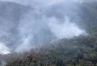 Em meio a tempo seco, SP registra 7 focos de incêndio em vegetação