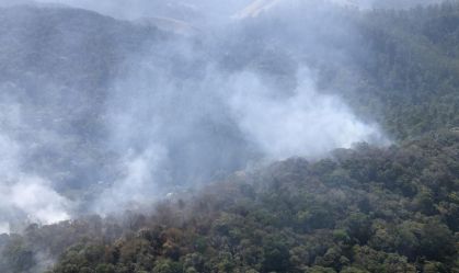 Focos de incêndio em vegetações em SP