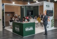 Agenda COP30: veja as programações entre pré-sessões e cúpula em Belém