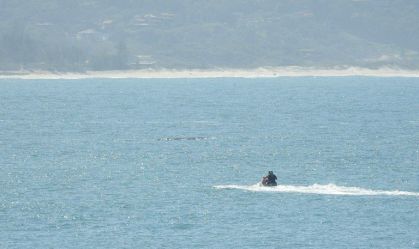 Piloto de jetski é multado em R$ 2,5 mil por importunar baleias em SC