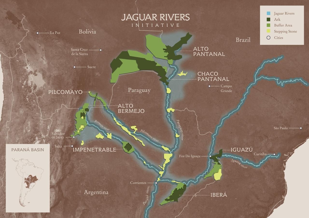 Iniciativa apresentada em Nova Iorque • Divulgação