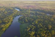Países da América do Sul querem criar corredor ecológico maior que o Alasca