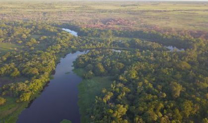 Países da América do Sul querem criar corredor ecológico maior que o Alasca